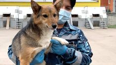 a man holding a dog wearing a face mask and gloves