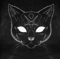 a black and white drawing of a cat's face