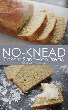 this no knead sandwich bread is so easy to make