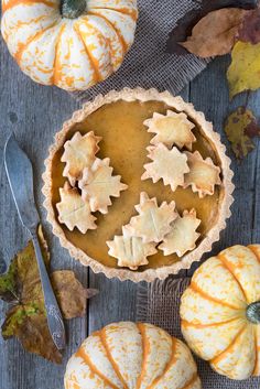 some pumpkin pies are sitting next to each other on a table with autumn leaves