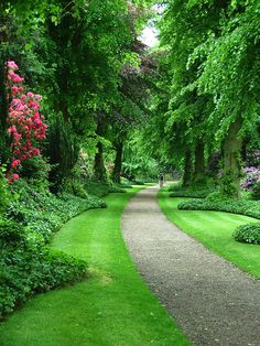 a path in the middle of a lush green park with flowers on either side and trees lining both sides