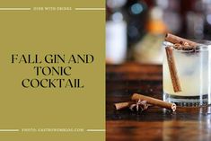 fall gin and tonic cocktail with cinnamon sticks