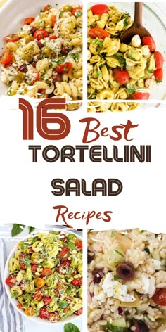 Tortellini Pasta Salad Reunion Recipes, Tortellini Pasta Salad Recipes, Greek Tortellini Salad, Cheese Tortellini Recipes, Tortellini Pasta Salad, Fun Pasta, Picnic Potluck, Classic Pasta Salad, Pesto Tortellini