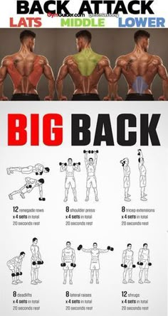 Wings Workout, Back Workout Men, Home Workout Men, Latihan Dada, Exercises For Men, Workout Training Programs, Trening Sztuk Walki, Workout Men, Gym Antrenmanları