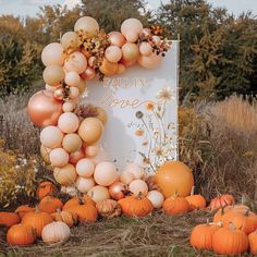 a sign surrounded by balloons and pumpkins in a field