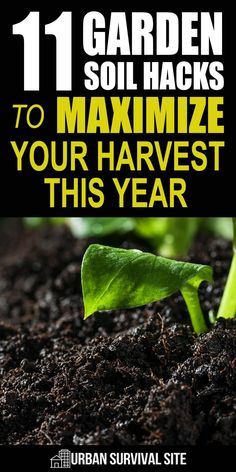 the cover of an urban survival guide for garden soil hacks to maximumize your harvest this year