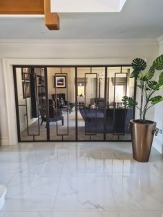 a living room filled with furniture and a potted plant in the middle of it