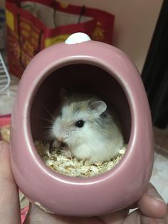 a hamster is sitting in a pink ball shaped cage that holds it's food