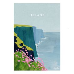 an image of a poster with the words ireland on it and flowers growing out of the grass