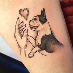 Boston Terrier Tattoo, traditional boston terrier tattoo, tiny boston terrier tattoo, boston terrier tattoo simple, minimalist boston terrier tattoo, boston terrier tattoo outline, boston terrier tattoo ideas, outline boston terrier tattoo, boston terrier tattoo small, small boston terrier tattoo, minimalist small boston terrier tattoo, simple boston terrier tattoo, boston terrier tattoo pictures, outline tiny boston terrier tattoo, geometric boston terrier tattoo, boston terrier tattoo designs Simple Boston Terrier Tattoo, Terrier Tattoo Ideas, Tattoo Ideas Outline, Fox Terrier Chileno, Body Expressions, Boston Terrier Tattoo, Terrier Tattoo, Rottweiler Tattoo