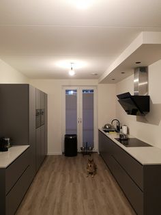 a dog is standing in the middle of a kitchen with wood flooring and white walls