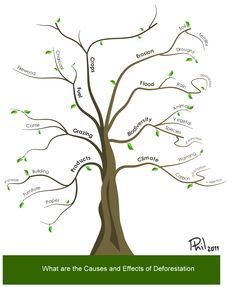 a family tree with the names and branches labeled in green, brown, and white