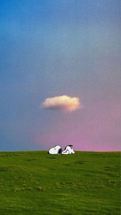 two white dogs laying in the grass under a cloud