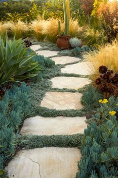 a stone path in the middle of a garden