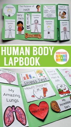 the human body lapbook for kids with pictures on it and text that reads,