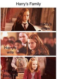 harry potter and hermile are the same person in harry potter's family