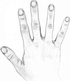 a drawing of a hand with two fingers