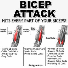 the diagram shows how to get rid from bigger butts and lower butts in order to gain weight