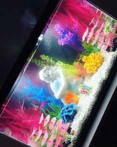 there are many different colored flowers on the glass table top, and one is in front of it