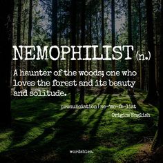 the words nemophilist in front of a forest with green grass and trees