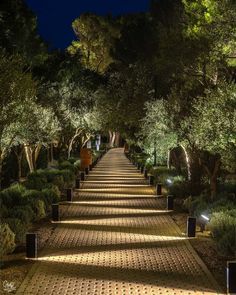 the walkway is lined with trees and bushes at night, along with lights on either side