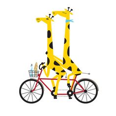 two giraffes riding on the back of a bicycle