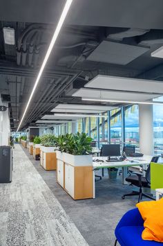 an office with lots of desks, chairs and plants in the middle of it