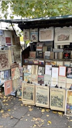 there are many books on display at the book stand that is covered with leaves and has an awning over it