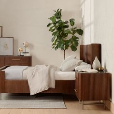 a bedroom with a bed, nightstands and a potted plant