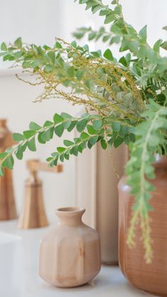 some vases with plants in them on a table