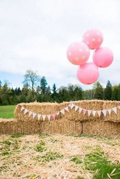 Idées de photobooth en extérieur Outdoor Photo Booths, Decor Photobooth, Farm Animals Birthday Party, Cowgirl Birthday Party, Horse Party, Barnyard Birthday, Photos Booth