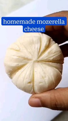 a person is holding a piece of cheese in their hand with the caption homemade mozzarella cheese