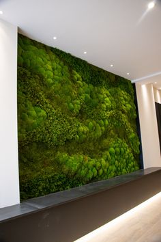 a living room with a large moss wall in the center and white walls behind it