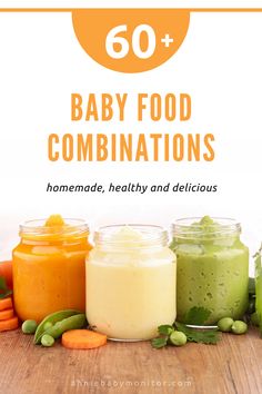 baby food combinations with text overlay that reads, 60 baby food combinations homemade, healthy and delicious