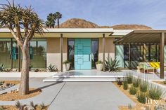 a house with blue doors and palm trees in the front yard, surrounded by desert landscaping