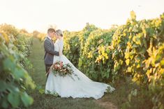 a bride and groom standing in the middle of a vineyard