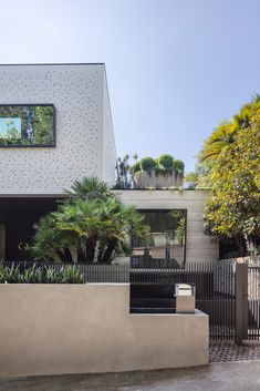 Two European fan palms create a dramatic entrance at this home in Sydney’s Bellevue Hill. Big Gate Entrance House, Hidden Hills Homes Exterior, Modern Estate Entrance Gate, Hidden Hills Mansion, European Fan Palm, Turner Hill Mansion Ipswich, Fan Palm, Architect Design, Entrance