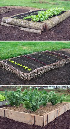 the garden is ready to be planted and put in an old log bed with plants growing out of it