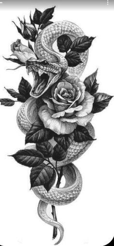 a snake and rose tattoo design on a white background