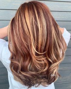 Auburn Brown Hair Highlights, Honey And Red Highlights On Brown Hair, Chestnut And Blonde Hair, Light Red And Blonde Hair, Dark Blonde Hair Red Highlights, Dark Blonde And Red Hair, Blonde Highlights Red Lowlights, Dark Brown And Auburn Hair, Dark Blonde Hair With Red Highlights