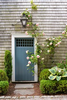 a blue front door surrounded by shrubbery and flowers