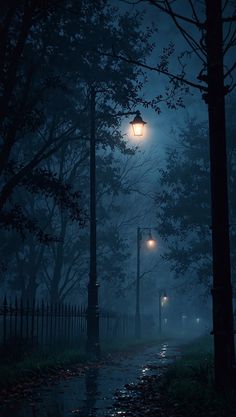 a street light in the middle of a foggy night with trees and fence around it