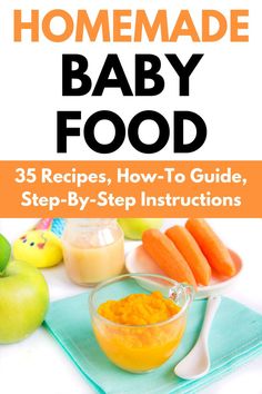 the book cover for homemade baby food