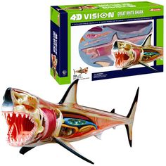 a model of a shark with its mouth open