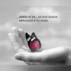 a person's hand holding a pink and black butterfly with the words james se va la lou que queda abrazdo a tu almaa