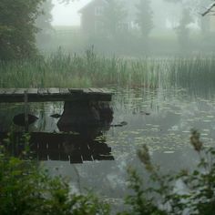 a dock in the middle of a pond with water lillies and trees around it