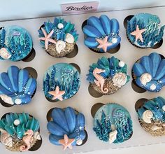 cupcakes decorated with blue icing and seashells are on display in a box