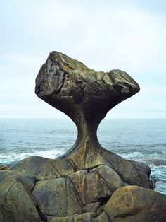 there is a rock that looks like a tree stump in the ocean with water behind it