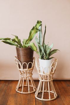 two potted plants sitting next to each other on a wooden floor