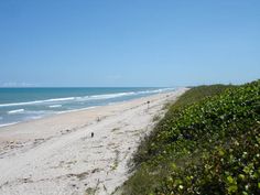 two people walking on the beach next to bushes and shrubs in front of the ocean